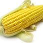 Обзор рынка кукурузы от 21.05.2013