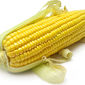 Израиль планирует приобрести 70 тыс. тонн кукурузы
