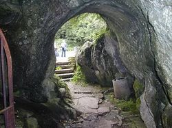 Леденика