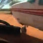 ТОП видео Youtube полиции: таран самолета наркоторговцев на ходу