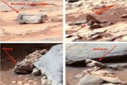 Новые удивительные данные от Curiosity – на Марсе сфотографирована птица
