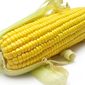 На 15 млн. тонн вырос прогноз мирового производства кукурузы