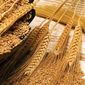 Китай будет наращивать импорт пшеницы