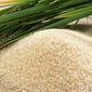 Таиланд заявил о желании нарастить рисовый запас