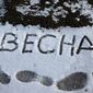 Одноклассники.ру: Москвичи в ужасе от тающего снега