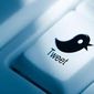 Twitter как средство парламентской борьбы – пример Франции 
