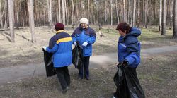 В Минске пьяниц и бомжей будут привлекать к общественным работам бесплатно