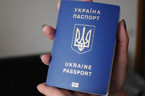 914476.jpg