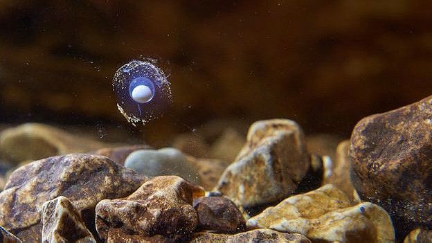 160229120754_egg_624x351_iztokmedjaposto