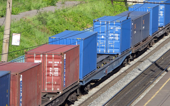 train_8.jpg