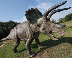 triceratops_-_posledniy_dinozavr.jpg