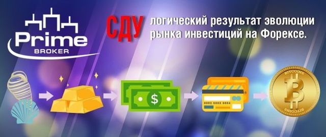 8d7bd0833378.jpg