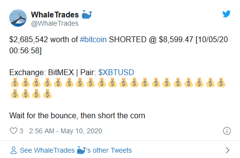 whale-trades.png