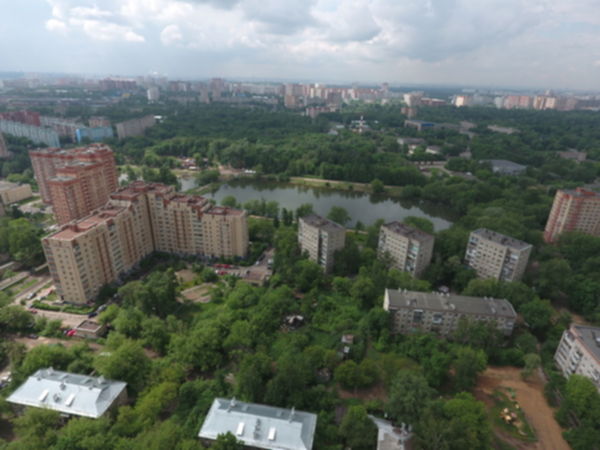 8148545.jpg