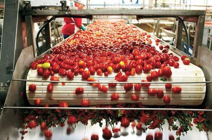 agrofusion-800x528.jpg