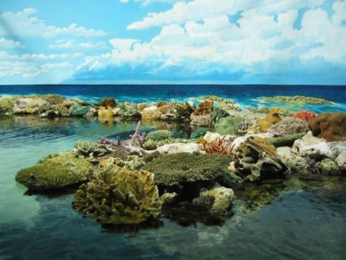 7120_2384_sydney_aquarium_great_barrier_