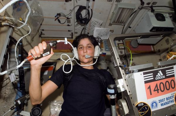 ISS-14_Williams_Marathon.jpg