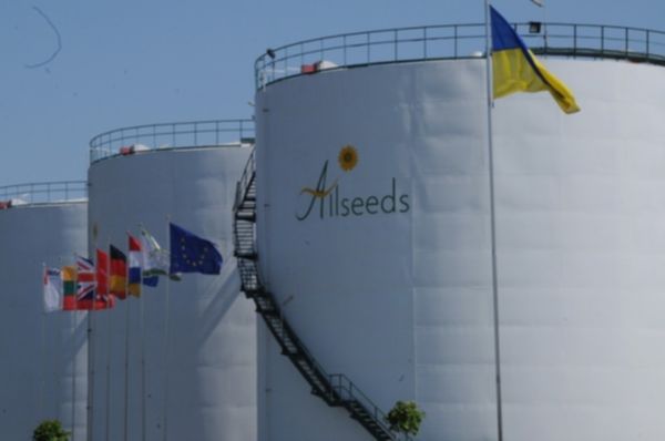 1b1622f-allseeds-2015.jpg