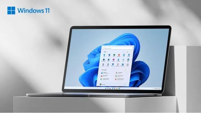 Windows 11