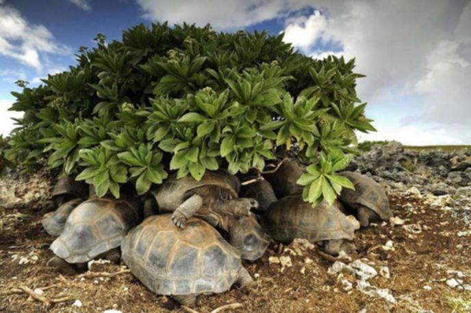 best-photos-2016-natgeo-national-geograp