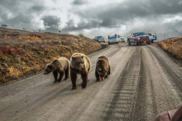 best-photos-2016-natgeo-national-geograp