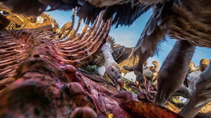 best-photos-2016-natgeo-national-geograp