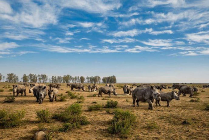 best-photos-2016-natgeo-national-geograp