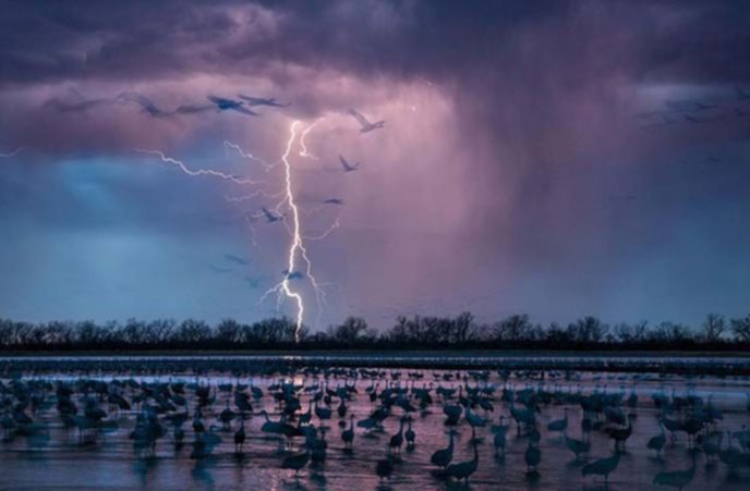 best-photos-2016-natgeo-national-geograp