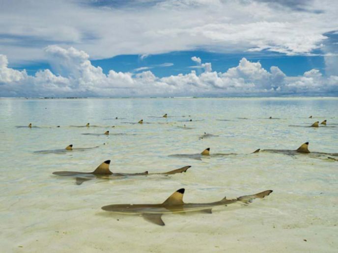 best-photos-2016-natgeo-national-geograp