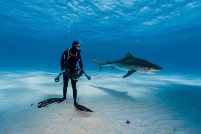 best-photos-2016-natgeo-national-geograp