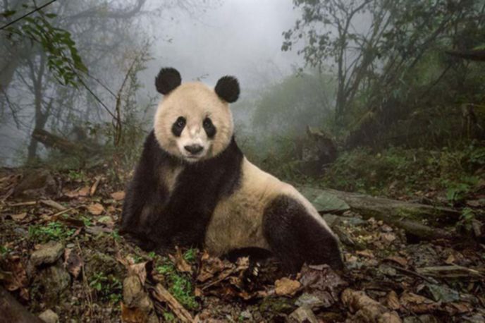 best-photos-2016-natgeo-national-geograp