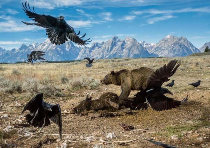 best-photos-2016-natgeo-national-geograp