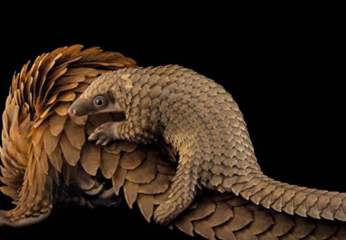 best-photos-2016-natgeo-national-geograp